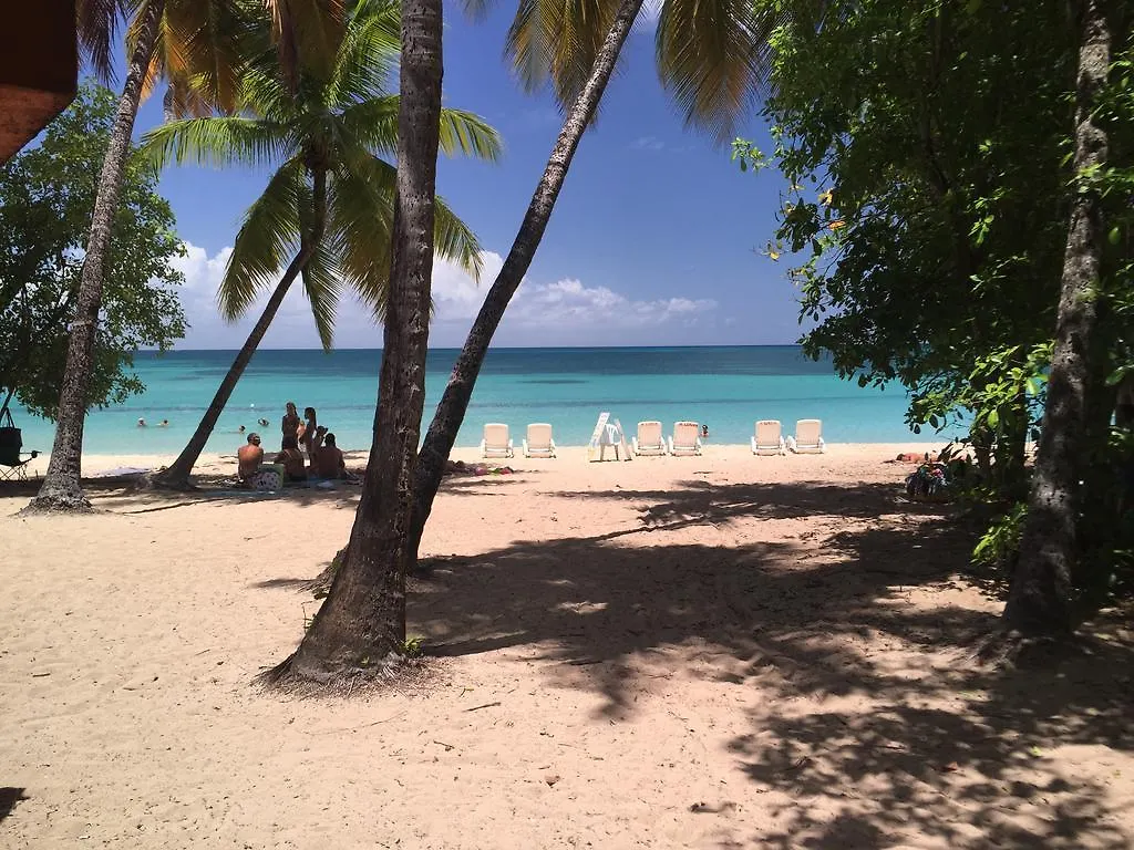 Studio La Trace Des Caps Mer Des Caraibes Sainte Anne Martinique Apartment