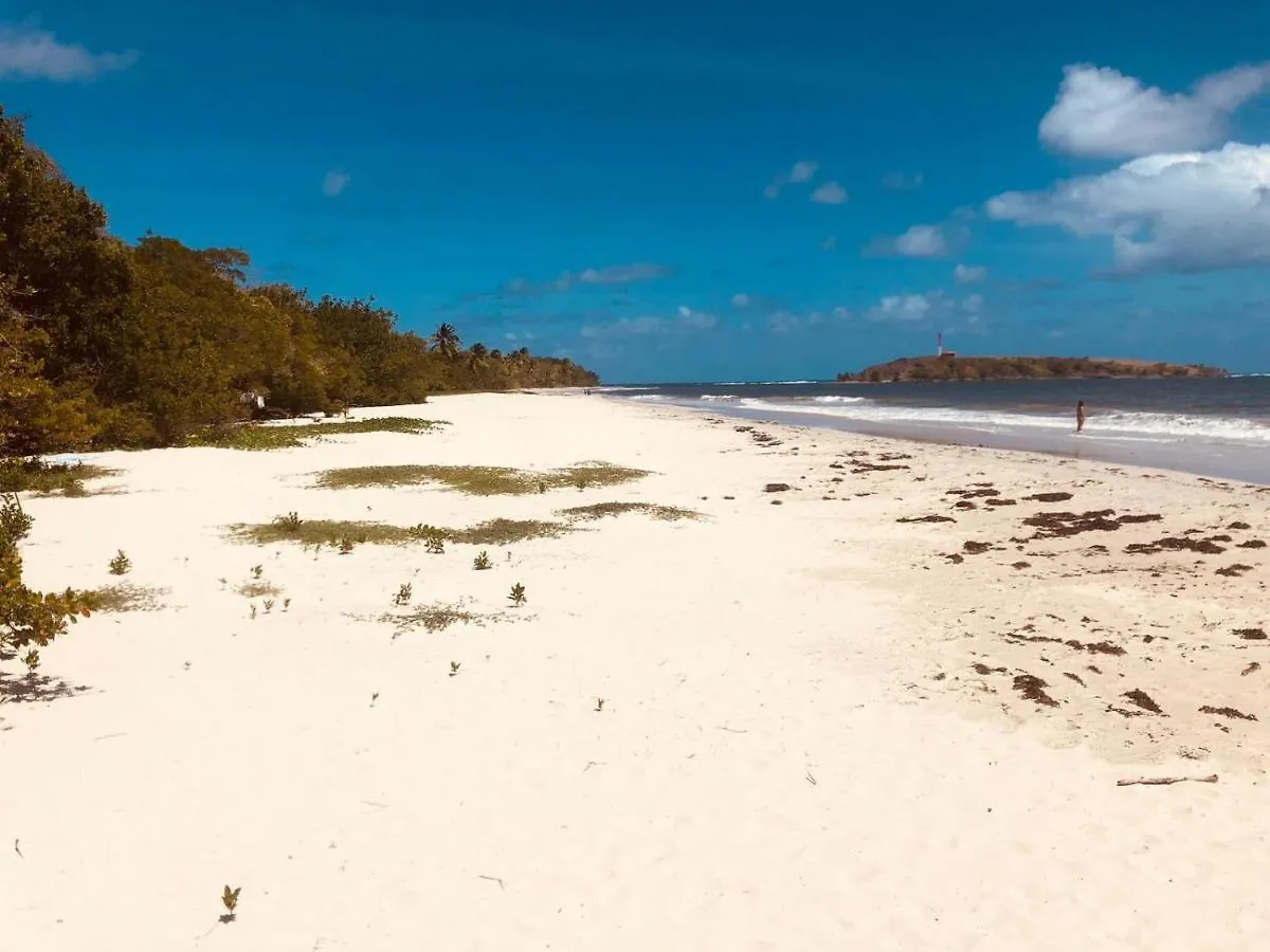Studio La Trace des Caps mer des Caraïbes Sainte Anne Martinique